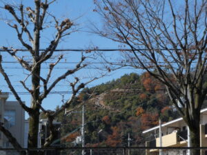 千本通から望む左大文字