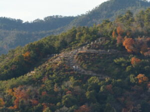 船岡山から望む左大文字