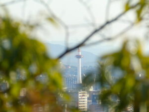 船岡山から望む京都タワー