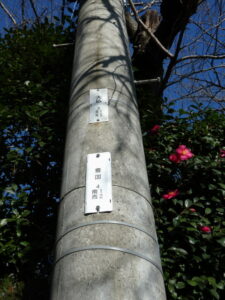 ［大仏3R1R2］［豊国4南1西2］電柱番号板