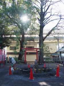 どんど火の準備を終えた今社（伊勢市宮町）