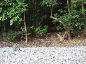 佐美長神社（伊雜宮 所管社）にて