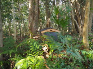 佐美長神社（伊雜宮 所管社）にて